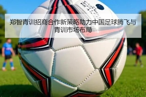 郑智青训招商合作新策略助力中国足球腾飞与青训市场布局