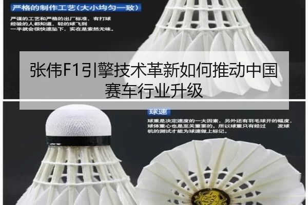 张伟F1引擎技术革新如何推动中国赛车行业升级